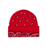 Affiliate Paisley Beanie